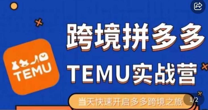 大鹏出海·拼多多跨境temu运营指导，开店注册+选品+核价上架，日出千单实战课-靠谱项目库