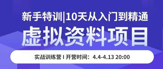 虚拟资料项目新手特训，10天从入门到精通，保姆级实操教学-靠谱项目库