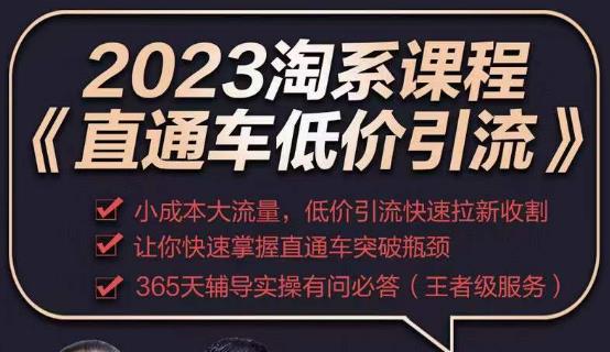 2023直通车低价引流玩法课程，小成本大流量，低价引流快速拉新收割，让你快速掌握直通车突破瓶颈-靠谱项目库