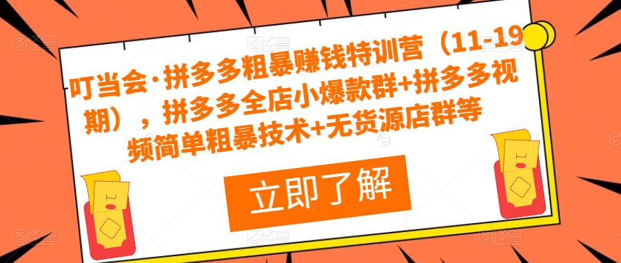 叮当会·拼多多粗暴赚钱特训营，拼多多全店小爆款群+拼多多视频简单粗暴技术+无货源店群等-靠谱项目库