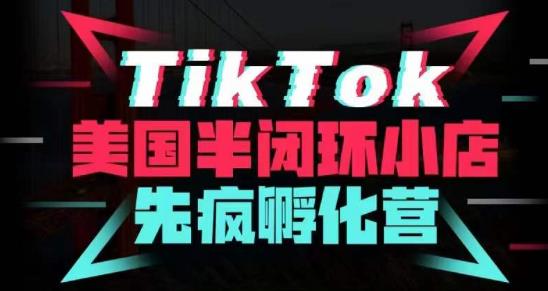 疯人院·TikTok美国半闭环小店孵化营，抢占TikTok美国蓝海市场，开店、运营、带货、投流全实操-靠谱项目库