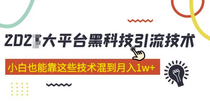大平台黑科技引流技术，小白也能靠这些技术混到月入1w+(2022年的课程）-靠谱项目库