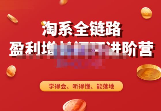 淘系全链路盈利增长闭环进阶营，融合全店动销，学得会、听得懂、能落地！-靠谱项目库