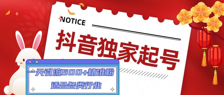 抖音独家起号，一天引流500+精准粉，适合各类行业（9节视频课）-靠谱项目库