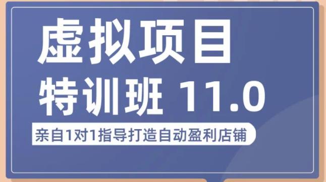陆明明·虚拟项目特训班（10.0+11.0），0成本获取虚拟素材，0基础打造自动盈利店铺-靠谱项目库