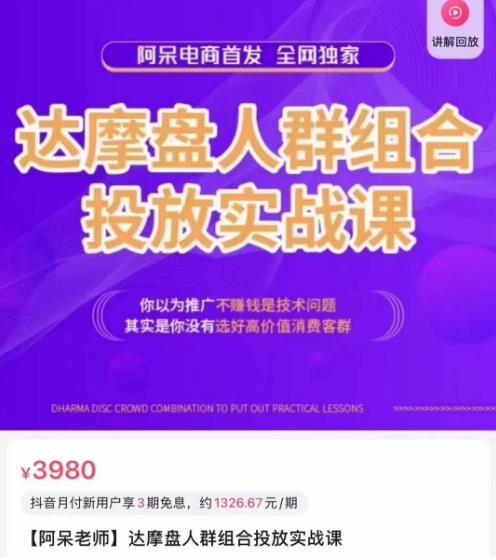 阿呆电商·达摩盘人群组合投放实战课，你以为推广不赚钱是技术问题，其实是你没有选好高价值消费客群-靠谱项目库