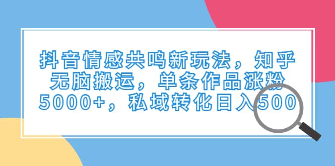 抖音情感共鸣新玩法，知乎无脑搬运，单条作品涨粉5000+，私域转化日入500-靠谱项目库