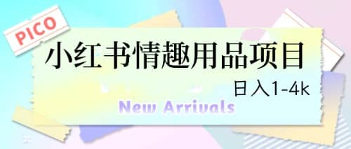 最新小红书情趣用品项目，日入1-4k-靠谱项目库