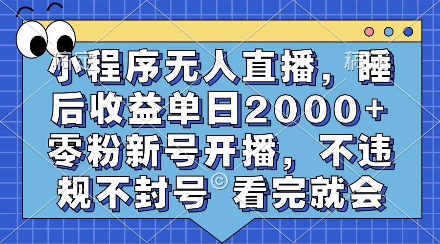 （13251期）小程序无人直播，睡后收益单日2000+ 零粉新号开播，不违规不封号 看完就会-靠谱项目库