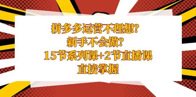 拼多多运营不理想？新手不会做？15节系列课+2节直播课，直接掌握-靠谱项目库