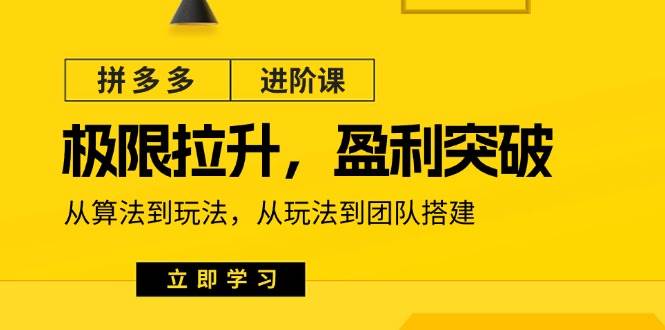 （11435期）拼多多·进阶课：极限拉升/盈利突破：从算法到玩法 从玩法到团队搭建-18节-靠谱项目库