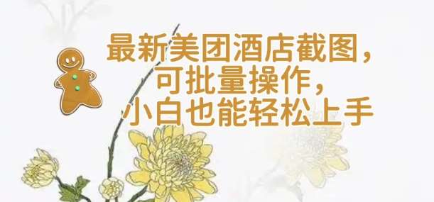 【轻云】最新美团酒店截图，可批量操作，小白也能轻松上手-靠谱项目库