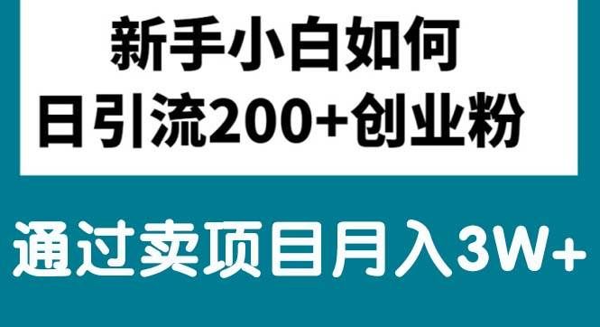 （10843期）新手小白日引流200+创业粉,通过卖项目月入3W+-靠谱项目库