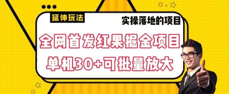 全网首发红果免费短剧掘金项目，单机30+可批量放大【揭秘】-靠谱项目库