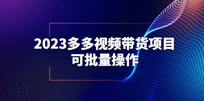 2023多多视频带货项目，可批量操作【保姆级教学】-靠谱项目库