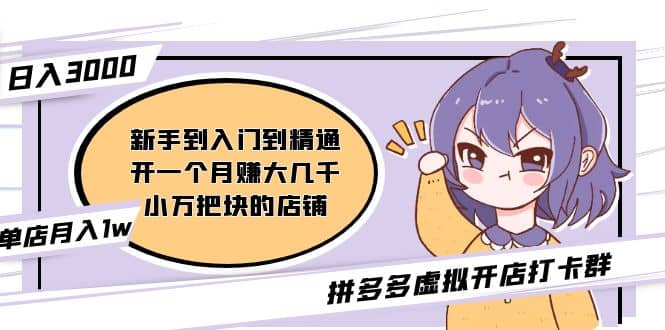 拼多多虚拟开店打卡群：新手到入门到精通-靠谱项目库