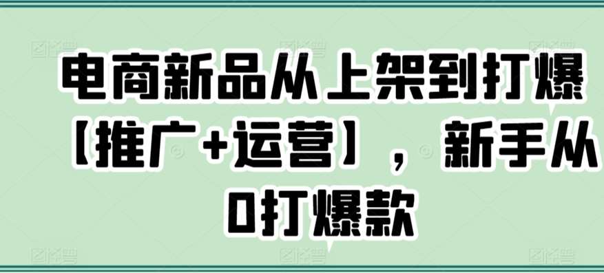 电商新品从上架到打爆【推广+运营】，新手从0打爆款-靠谱项目库