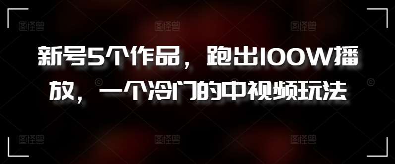 新号5个作品，跑出100W播放，一个冷门的中视频玩法【揭秘】-靠谱项目库