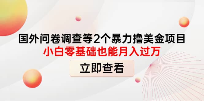国外问卷调查等2个暴力撸美元项目，小白零基础也能月入过万-靠谱项目库