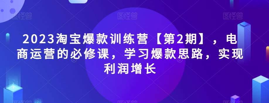 2023淘宝爆款训练营【第2期】，电商运营的必修课，学习爆款思路，实现利润增长-靠谱项目库