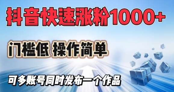 抖音快速涨1000+粉，门槛低操作简单，可多账号同时发布一个作品-靠谱项目库