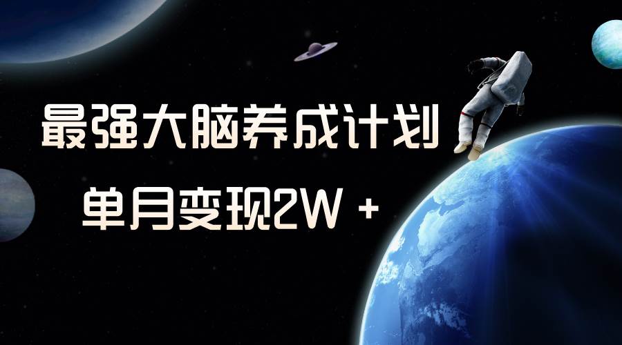 冷门虚拟项目，最强大脑养成计划，一个月变现2W＋-靠谱项目库