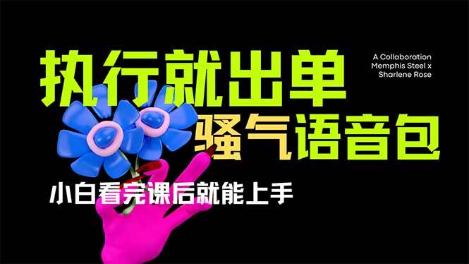 （14170期）爆火全网的开车导航骚气语音包,只要执行就出单，小白看完课程就能实操…-靠谱项目库
