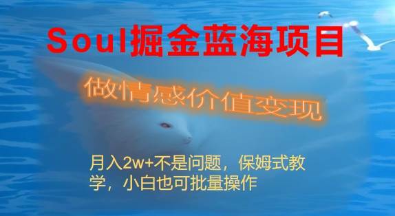 Soul掘金蓝海项目细分赛道，做情感价值变现，月入2w+不是问题-靠谱项目库