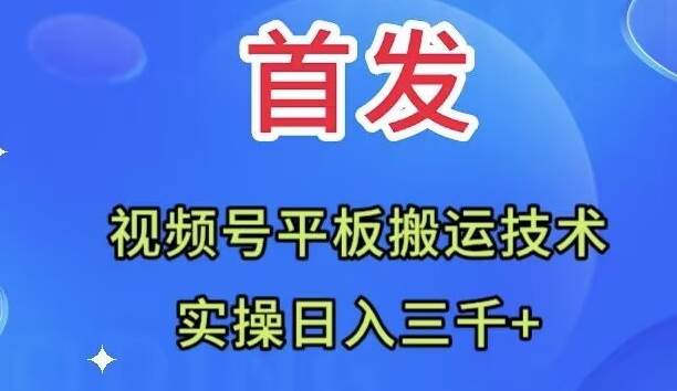 （7843期）全网首发：视频号平板搬运技术，实操日入三千＋-靠谱项目库