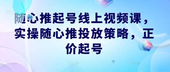 随心推起号线上视频课，实操随心推投放策略，正价起号-靠谱项目库
