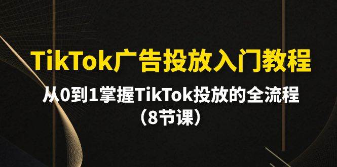 （10085期）TikTok广告投放入门教程，从0到1掌握TikTok投放的全流程（8节课）-靠谱项目库