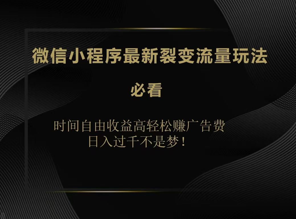 微信小程序最新裂变流量玩法，时间自由收益高轻松赚广告费，日入200-500+-靠谱项目库