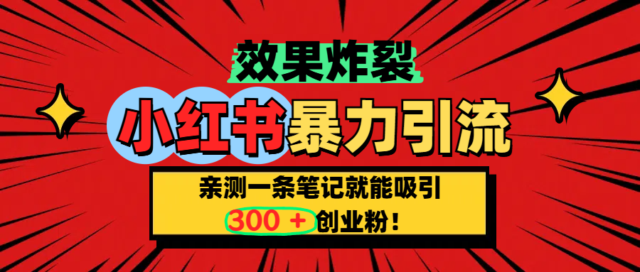 小红书炸裂玩法，亲测一条笔记就能吸引300+精准创业粉！-靠谱项目库