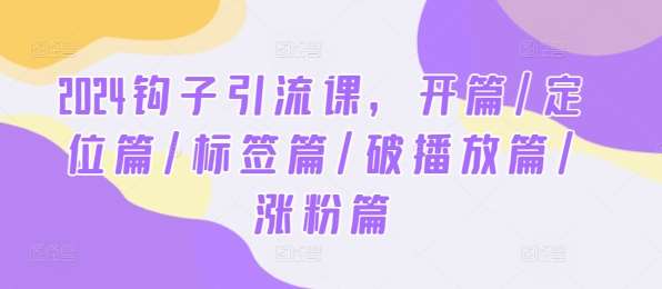 2024钩子引流课，开篇/定位篇/标签篇/破播放篇/涨粉篇-靠谱项目库