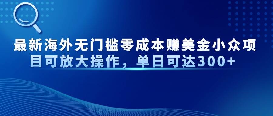 （14542期）最新海外无门槛零成本赚美金小众项目可放大操作，单日可达300+-靠谱项目库