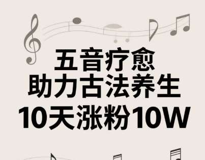 古法五音养生教程，五音疗愈的视频的制作方法，2-4小时就能学会，作者10天涨粉10W-靠谱项目库