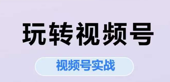 玩转视频号，视频号实战系列课-靠谱项目库