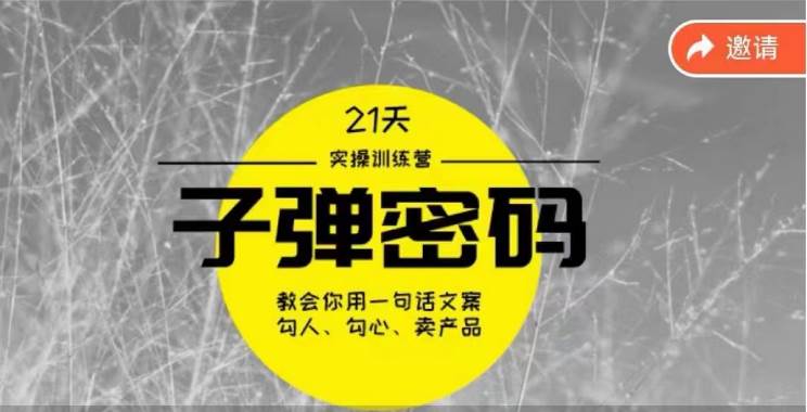 《子弹密码训练营》-用一句话文案勾人勾心卖产品，21天学到顶尖文案大师策略和技巧-靠谱项目库