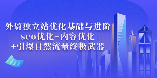 外贸独立站优化基础与进阶，seo优化+内容优化+引爆自然流量终极武器-靠谱项目库