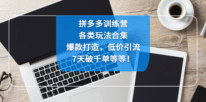拼多多训练营：各玩法合集，爆款打造，低价引流，7天破千单等等-靠谱项目库