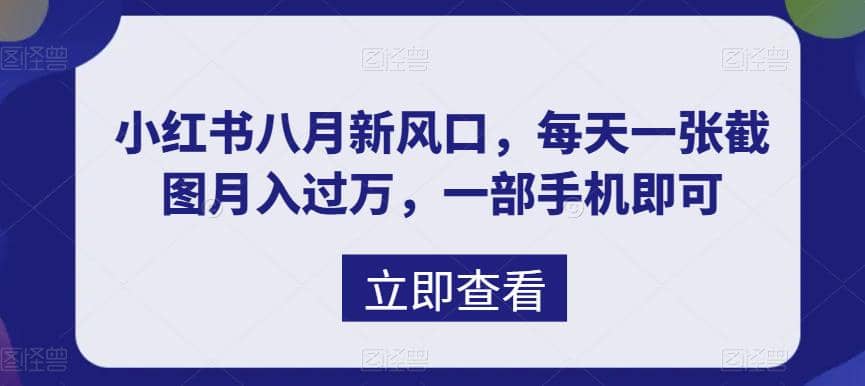 八月新风口，小红书虚拟项目一天收入1000+，实战揭秘-靠谱项目库