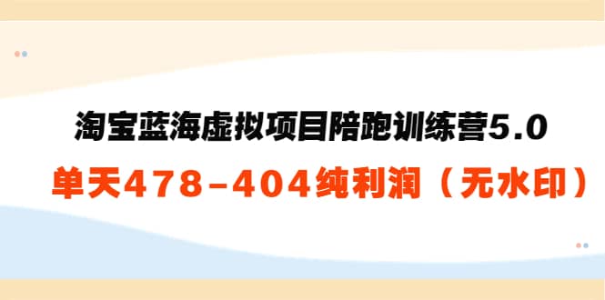 淘宝蓝海虚拟项目陪跑训练营5.0：单天478纯利润（无水印）-靠谱项目库