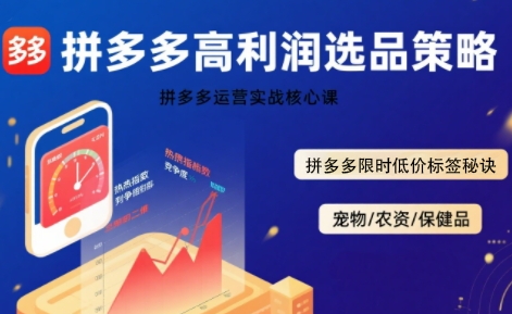拼多多选品暴利技术实战课，拼多多高利润选品策略，拼多多限时低价标签秘诀-靠谱项目库