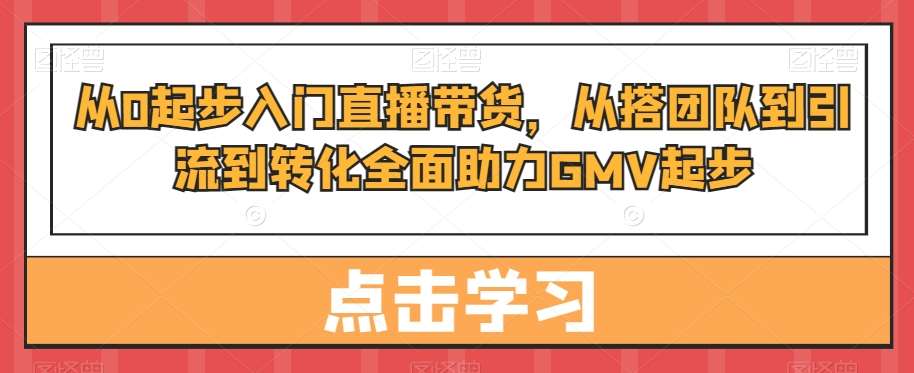 从0起步入门直播带货，​从搭团队到引流到转化全面助力GMV起步-靠谱项目库