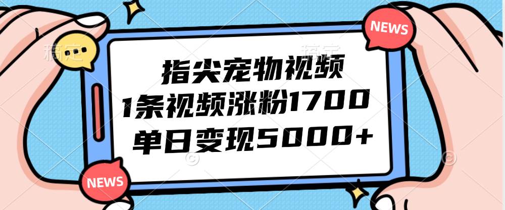 （12549期）指尖宠物视频，1条视频涨粉1700，单日变现5000+-靠谱项目库