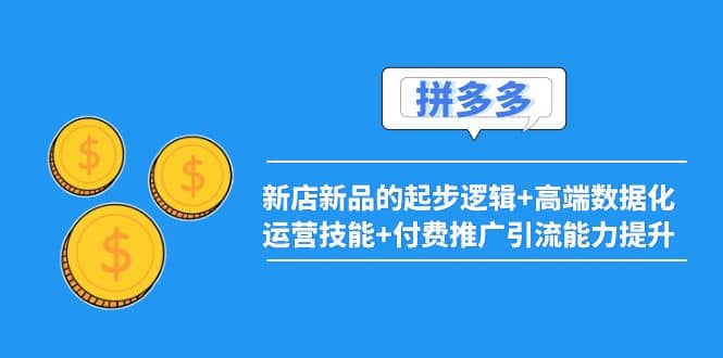 2022拼多多：新店新品的起步逻辑+高端数据化运营技能+付费推广引流能力提升-靠谱项目库