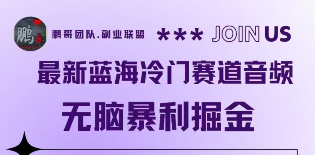 最新蓝海冷门赛道音频，无脑暴利掘金-靠谱项目库