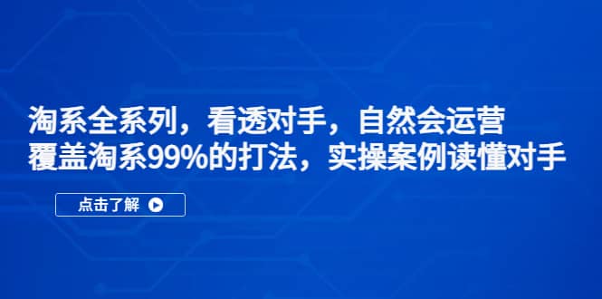 淘系全系列，看透对手，自然会运营，覆盖淘系99%·打法，实操案例读懂对手-靠谱项目库
