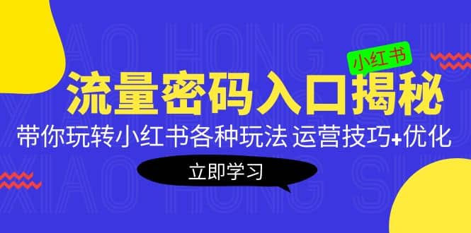 小红书流量密码入口揭秘：带你玩转小红书各种玩法 运营技巧+优化-靠谱项目库