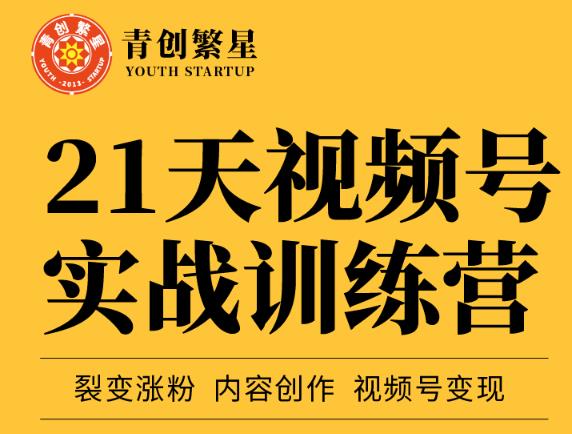 张萌21天视频号实战训练营，裂变涨粉、内容创作、视频号变现 价值298元-靠谱项目库